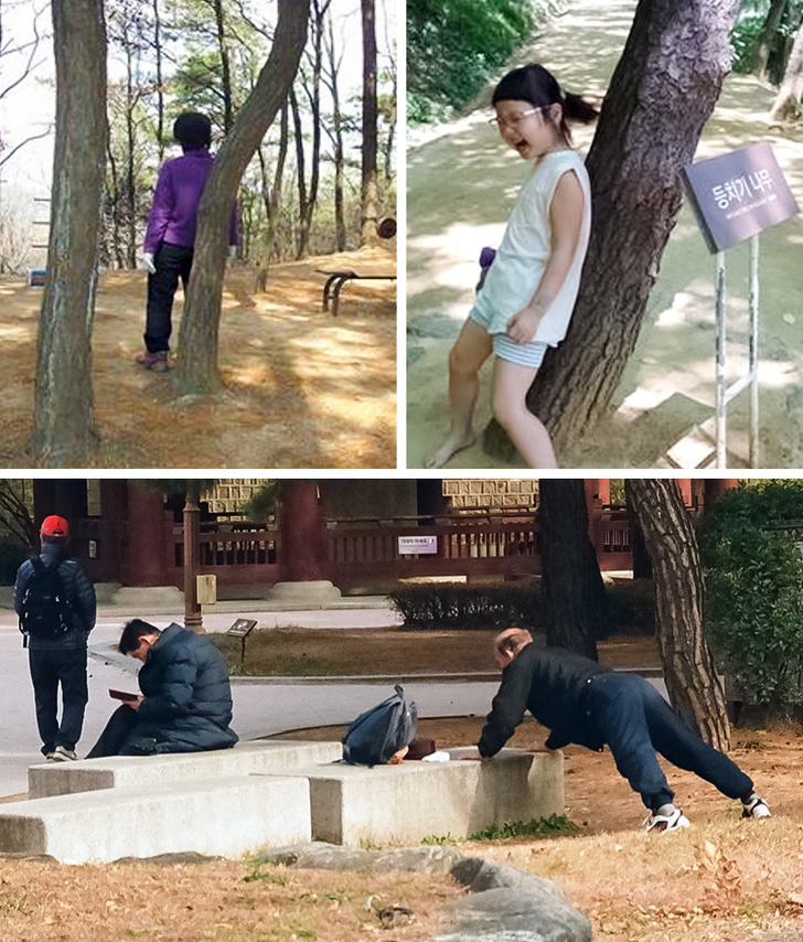 20+ диви неща от Южна Корея, които го правят още по-загадъчен и привлекателен