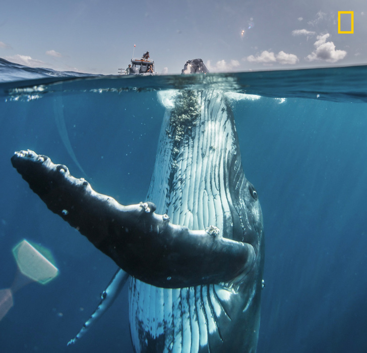 25 разбъркващи снимки в „National Geographic“, които правят времето да спре