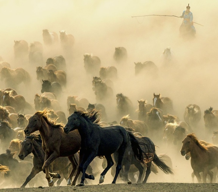 25 разбъркващи снимки в „National Geographic“, които правят времето да спре