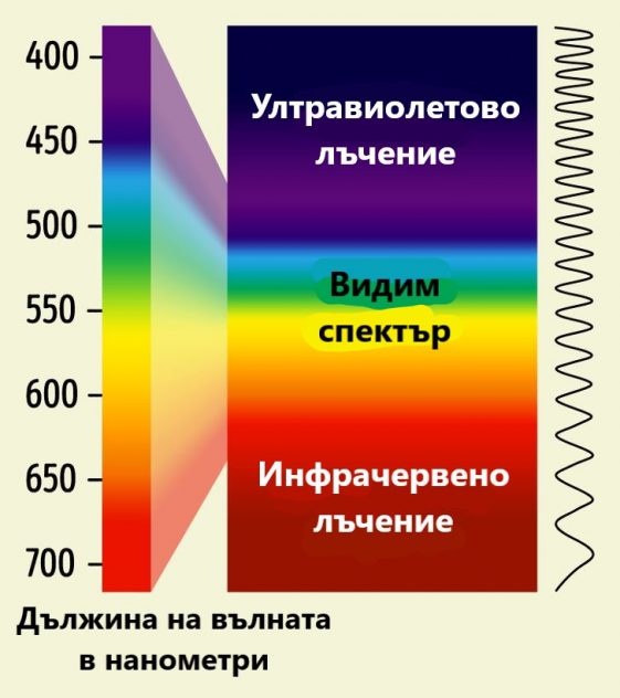 Цвет магента фото