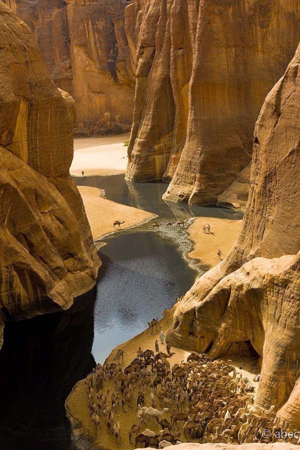oasis7
